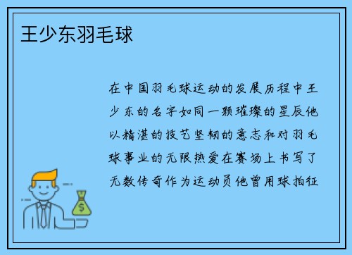 王少东羽毛球