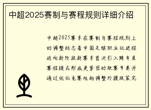 中超2025赛制与赛程规则详细介绍