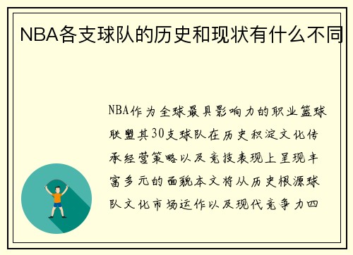NBA各支球队的历史和现状有什么不同