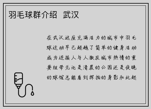 羽毛球群介绍  武汉