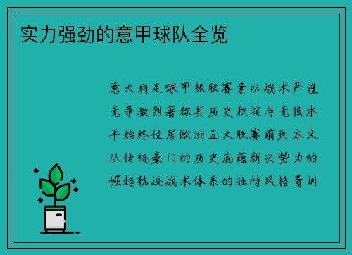 实力强劲的意甲球队全览